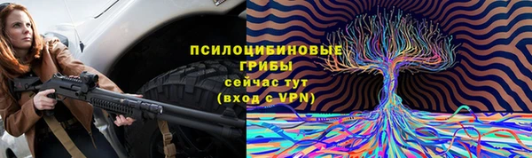 spice Нязепетровск