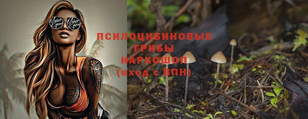 a pvp Няндома