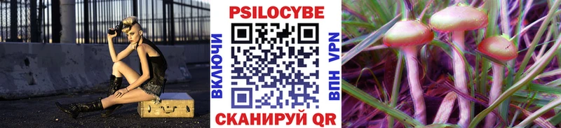 где купить наркоту  Туран  Псилоцибиновые грибы GOLDEN TEACHER 